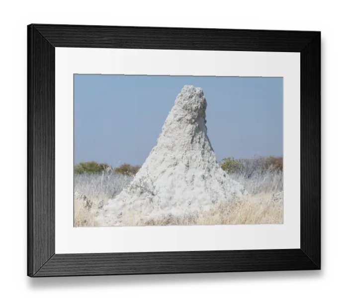 Framed Print : Termite mound at the edge of the Etosha Pan, Etosha National Park, Namibia Framed Print : Termite mound at the edge of the Etosha Pan, Etosha National Park, Namibia