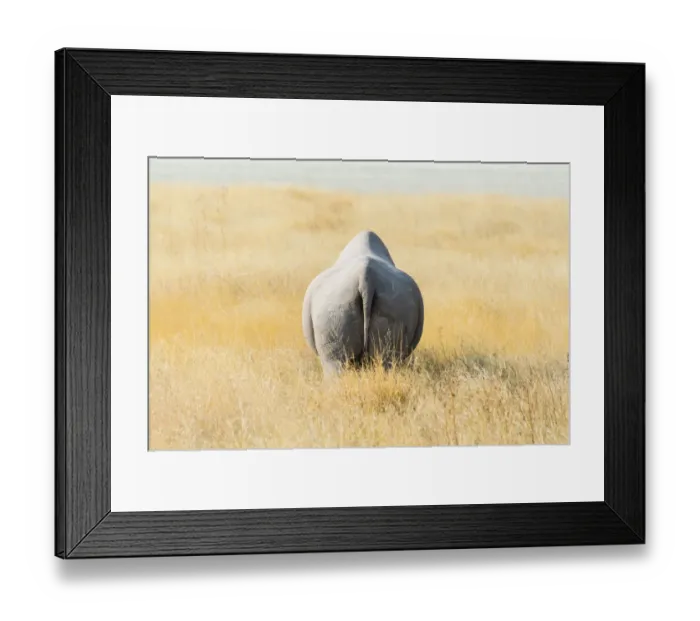 Framed Print : Black Rhinoceros -Diceros bicornis- walking through dry grass at the edge of the Etosha Pan, Etosha National Park, Namibia Framed Print : Black Rhinoceros -Diceros bicornis- walking through dry grass at the edge of the Etosha Pan, Etosha National Park, Namibia