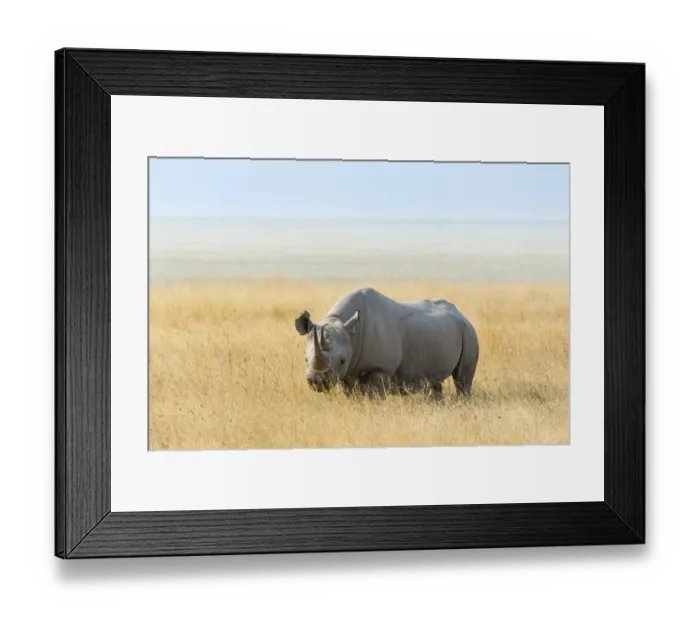 Framed Print : Black Rhino -Diceros bicornis- at the edge of the Etosha Pan, Etosha National Park, Namibia Framed Print : Black Rhino -Diceros bicornis- at the edge of the Etosha Pan, Etosha National Park, Namibia