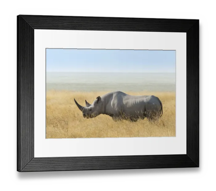 Framed Print : Black Rhino -Diceros bicornis- at the edge of the Etosha Pan, Etosha National Park, Namibia Framed Print : Black Rhino -Diceros bicornis- at the edge of the Etosha Pan, Etosha National Park, Namibia