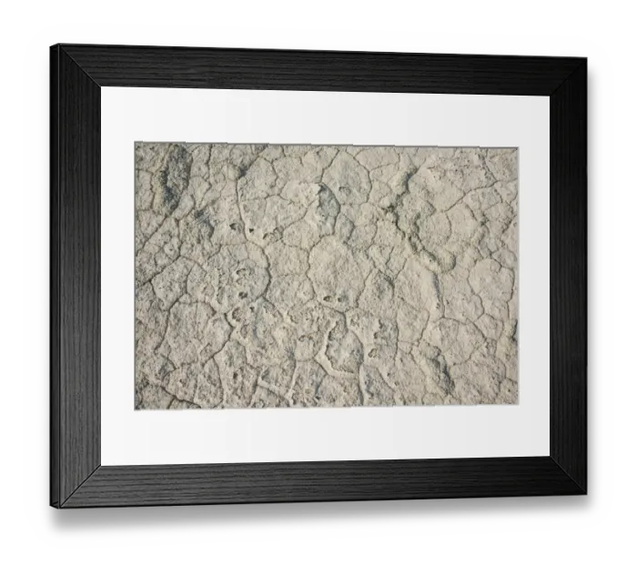 Framed Print : Dried ground, Etosha Pan, Etosha National Park, Namibia Framed Print : Dried ground, Etosha Pan, Etosha National Park, Namibia