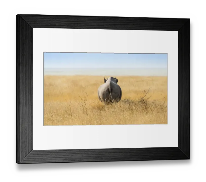 Framed Print : Black rhinoceros -Diceros bicornis-, from behind, Etosha Pan, Etosha National Park, Namibia Framed Print : Black rhinoceros -Diceros bicornis-, from behind, Etosha Pan, Etosha National Park, Namibia