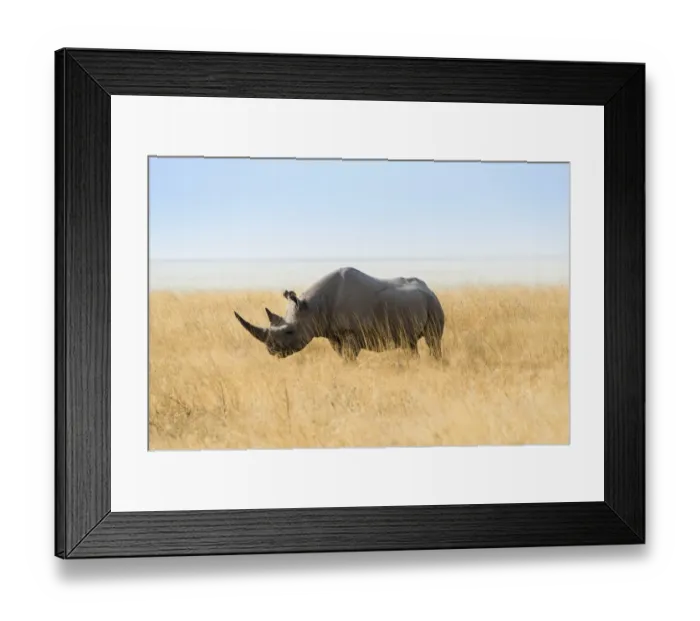 Framed Print : Black rhinoceros -Diceros bicornis-, Etosha Pan, Etosha National Park, Namibia Framed Print : Black rhinoceros -Diceros bicornis-, Etosha Pan, Etosha National Park, Namibia