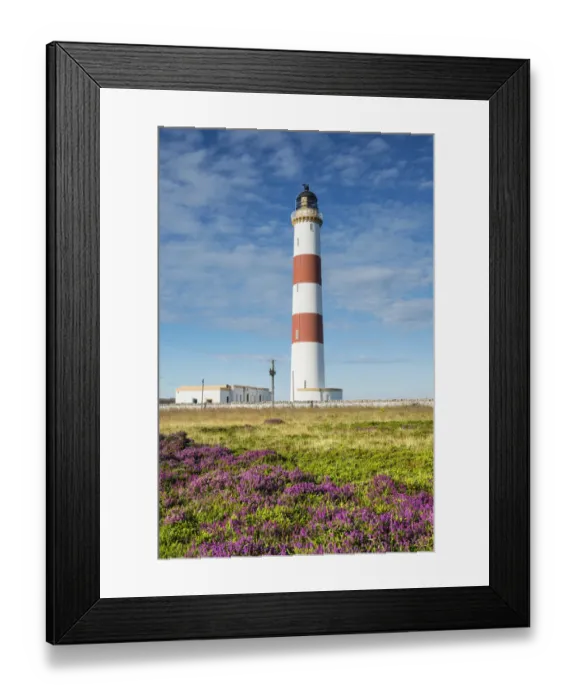 Framed Print : Tarbat Ness lighthouse on the Moray Firth, Scotland, United Kingdom, Europe