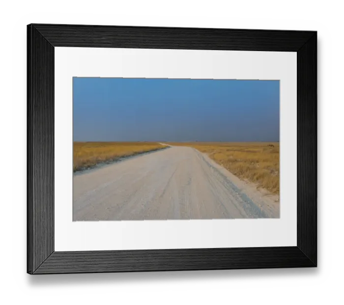 Framed Print : Gravel road in Etosha National Park, Namibia