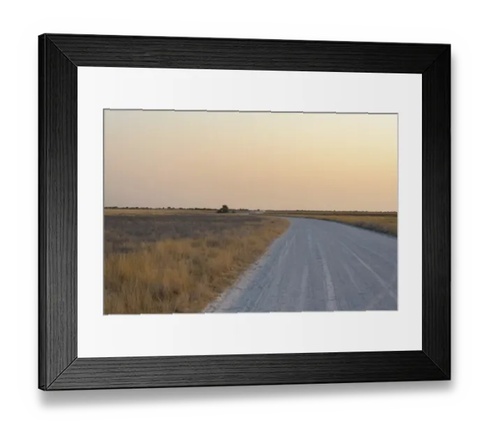 Framed Print : Street, Etosha National Park, Namibia Framed Print : Street, Etosha National Park, Namibia
