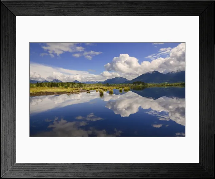 Framed Print : Reflections in a bog, glacial Stammbecken Moor, former Nicklheim peat works, Rosenheim, Bavaria, Germany, Europe Framed Print : Reflections in a bog, glacial Stammbecken Moor, former Nicklheim peat works, Rosenheim, Bavaria, Germany, Europe