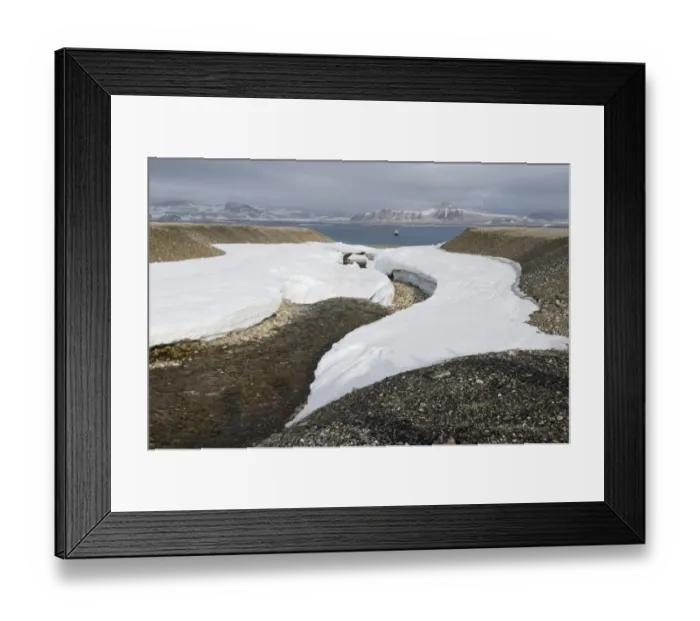 Framed Print : Remnants of snow surrounding a stream of meltwater, expedition cruise ship MS Quest at the rear, Zorgdragerfjorden, Prins Oscars Land, Nordaustlandet, Svalbard Archipelago, Svalbard and Jan Mayen, Norway Framed Print : Remnants of snow surrounding a stream of meltwater, expedition cruise ship MS Quest at the rear, Zorgdragerfjorden, Prins Oscars Land, Nordaustlandet, Svalbard Archipelago, Svalbard and Jan Mayen, Norway