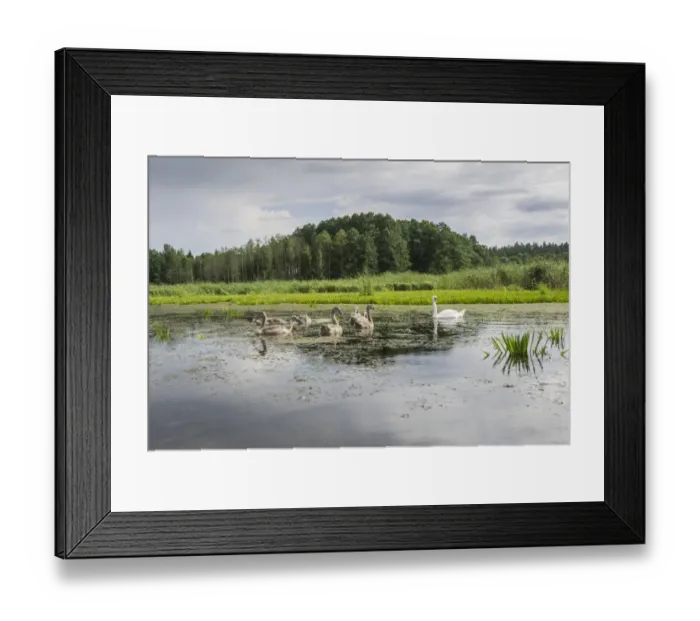Framed Print : The Krutynia River near Ruciane-Nida, Warmian-Masurian Voivodeship, Poland Framed Print : The Krutynia River near Ruciane-Nida, Warmian-Masurian Voivodeship, Poland