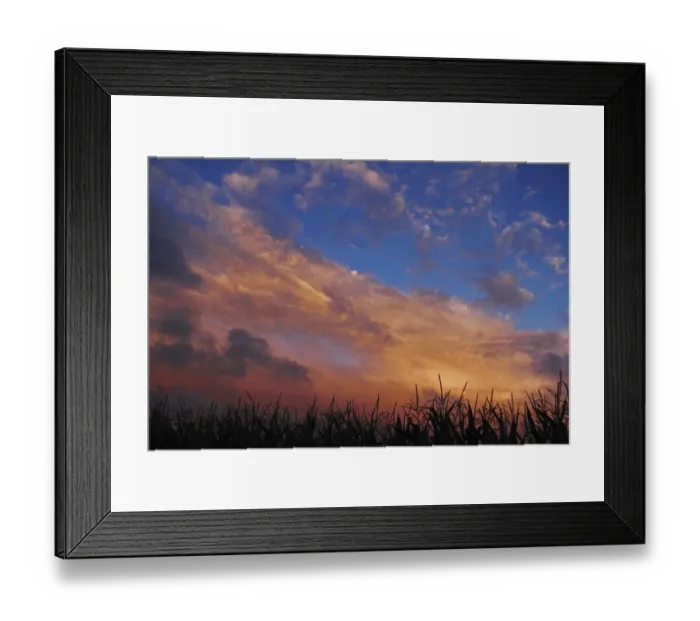 Framed Print : Evening sky with moody clouds over a maize field, near Biberach, Upper Swabia, Baden-Wuerttemberg, Germany, Europe Framed Print : Evening sky with moody clouds over a maize field, near Biberach, Upper Swabia, Baden-Wuerttemberg, Germany, Europe