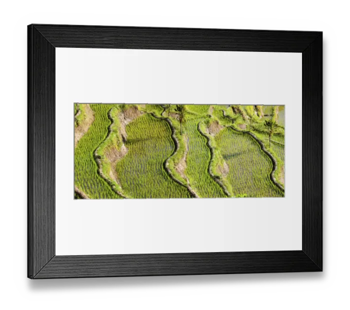 Framed Print : Rice fields, Tirtagangga, bei Abang, Bali, Indonesia Framed Print : Rice fields, Tirtagangga, bei Abang, Bali, Indonesia