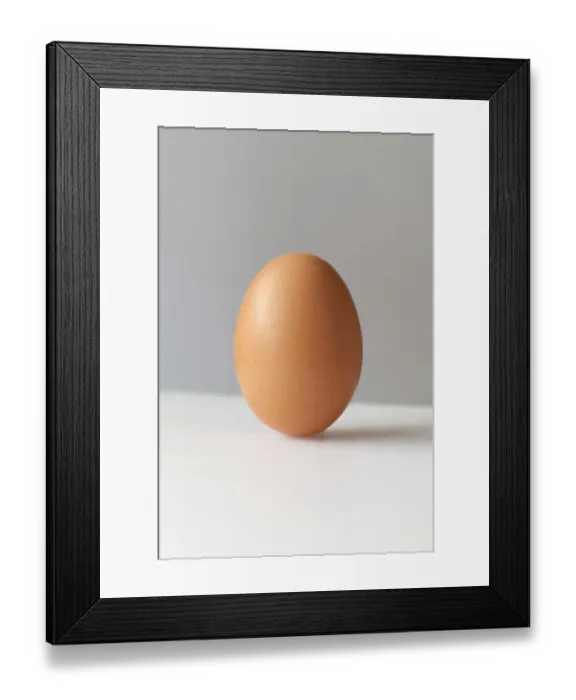 Framed Print : A brown egg