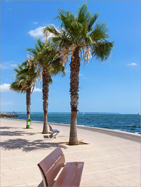 Beach promenade, harbour of Portixol, Es Molinar Playa de Palma, Palma, Sa Creu Vermella, Majorca, Balearic Islands, Spain