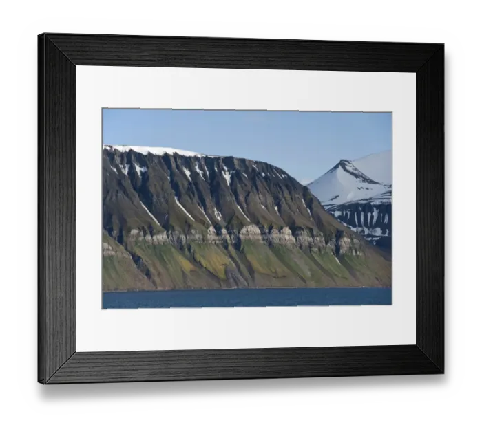 Framed Print : Ornithocoprophilous vegetation below the bird cliffs of Fuglefjellet, Isfjorden, Grumantbyen, Spitsbergen Island, Svalbard Archipelago, Svalbard and Jan Mayen, Norway Framed Print : Ornithocoprophilous vegetation below the bird cliffs of Fuglefjellet, Isfjorden, Grumantbyen, Spitsbergen Island, Svalbard Archipelago, Svalbard and Jan Mayen, Norway