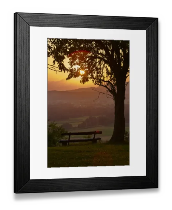 Framed Print : Bench under a tree, sunset, Podgrad, Dol pri Ljubljani, Slovenia Framed Print : Bench under a tree, sunset, Podgrad, Dol pri Ljubljani, Slovenia