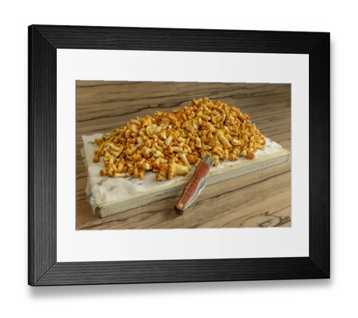 Framed Print : Fresh chanterelles or golden chanterelles -Cantharellus cibarius-, cleaned, with a mushroom knife on a wooden chopping board Framed Print : Fresh chanterelles or golden chanterelles -Cantharellus cibarius-, cleaned, with a mushroom knife on a wooden chopping board