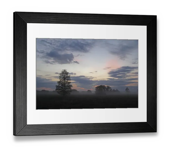 Framed Print : Reeds, reed belt, foggy atmosphere, Lake Federsee region, nature reserve, near Bad Buchau, Upper Swabia, Baden-Wuerttemberg, Germany, Europe Framed Print : Reeds, reed belt, foggy atmosphere, Lake Federsee region, nature reserve, near Bad Buchau, Upper Swabia, Baden-Wuerttemberg, Germany, Europe