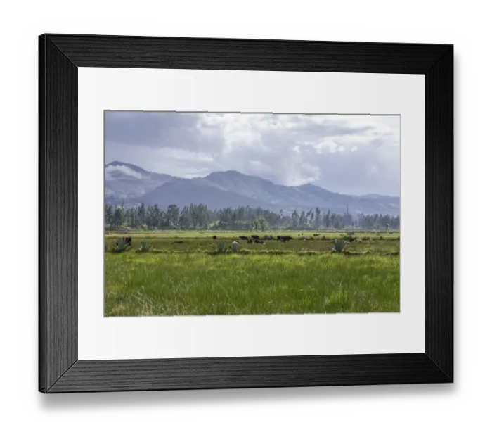 Framed Print : Pastures of the farm of La Collpa, Cajamarca, Peru, South America