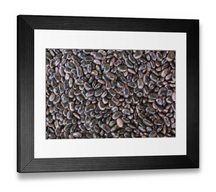 Framed Print : Runner beans, farmers market at Kaiser-Josef Platz square, Graz, Styria, Austria, Europe Framed Print : Runner beans, farmers market at Kaiser-Josef Platz square, Graz, Styria, Austria, Europe