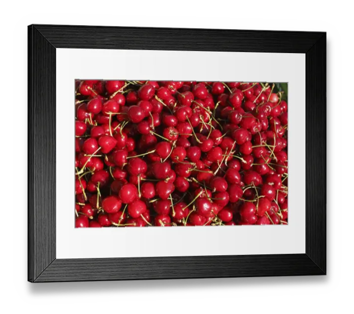 Framed Print : Cherries, Styria, Austria, Europe Framed Print : Cherries, Styria, Austria, Europe