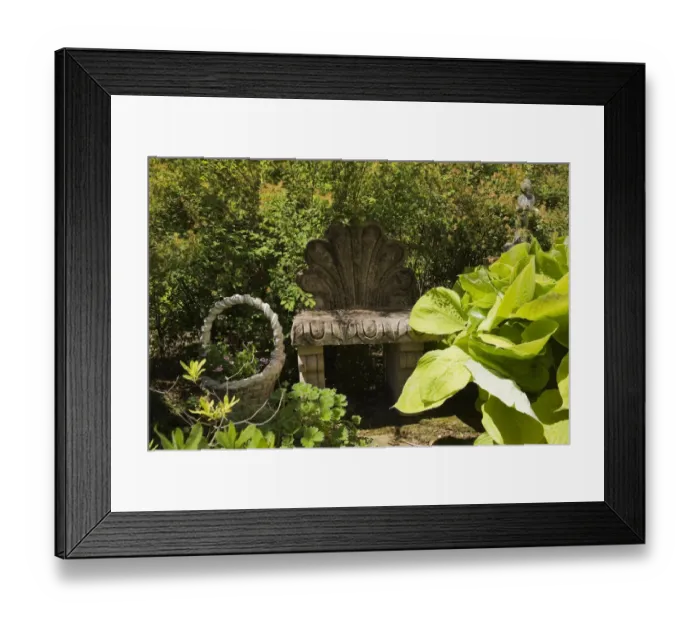 Framed Print : Clamshell back garden bench and hosta plant leaves in a landscaped residential backyard garden, Quebec, Canada Framed Print : Clamshell back garden bench and hosta plant leaves in a landscaped residential backyard garden, Quebec, Canada