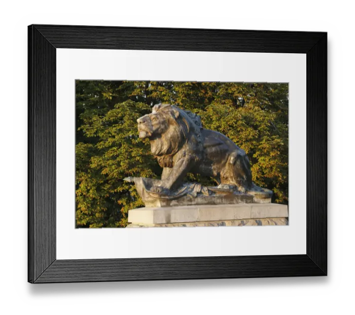Framed Print : Hackher Lion on Schlossberg, castle hill, Graz, Styria, Austria, Europe, PublicGround Framed Print : Hackher Lion on Schlossberg, castle hill, Graz, Styria, Austria, Europe, PublicGround