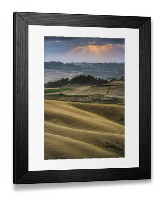Framed Print : Rolling hills, cornfields at dusk, Villamagna, Tuscany, Italy, Europe Framed Print : Rolling hills, cornfields at dusk, Villamagna, Tuscany, Italy, Europe