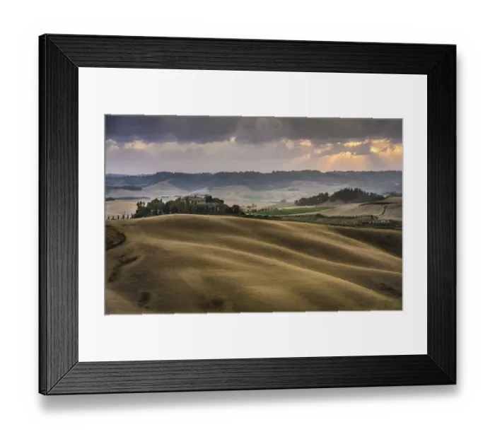 Framed Print : Rolling hills, cornfields at dusk, Villamagna, Tuscany, Italy, Europe Framed Print : Rolling hills, cornfields at dusk, Villamagna, Tuscany, Italy, Europe
