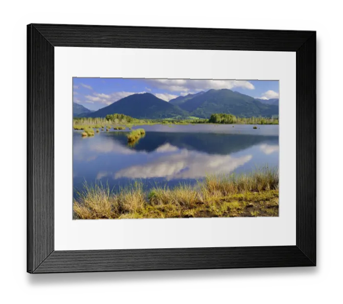 Framed Print : Mountains and clouds being reflected in a pond in a basin bog area, prealpine lands, Nicklheim, Bavaria, Germany, Europe Framed Print : Mountains and clouds being reflected in a pond in a basin bog area, prealpine lands, Nicklheim, Bavaria, Germany, Europe