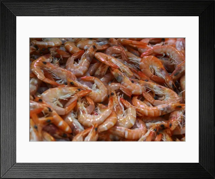 Framed Print : Shrimps on sale at a weekly market, Cannes, French Riviera, France, Europe Framed Print : Shrimps on sale at a weekly market, Cannes, French Riviera, France, Europe