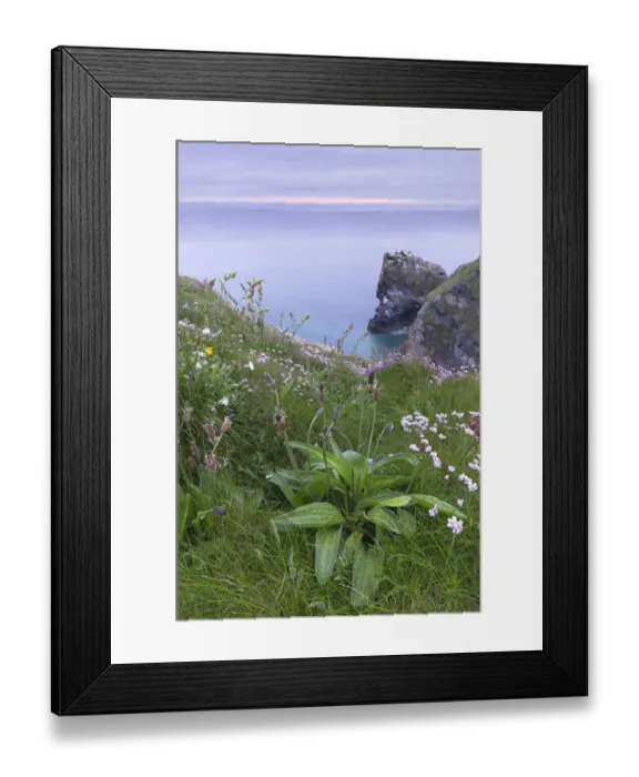 Framed Print : View of Hells Mouth, Cornwall, England, United Kingdom, Europe Framed Print : View of Hells Mouth, Cornwall, England, United Kingdom, Europe