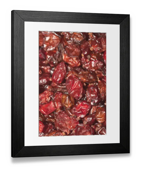 Framed Print : Barberries -Berberis- Framed Print : Barberries -Berberis-