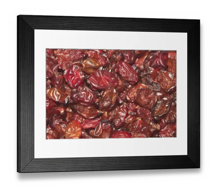 Framed Print : Barberries -Berberis- Framed Print : Barberries -Berberis-