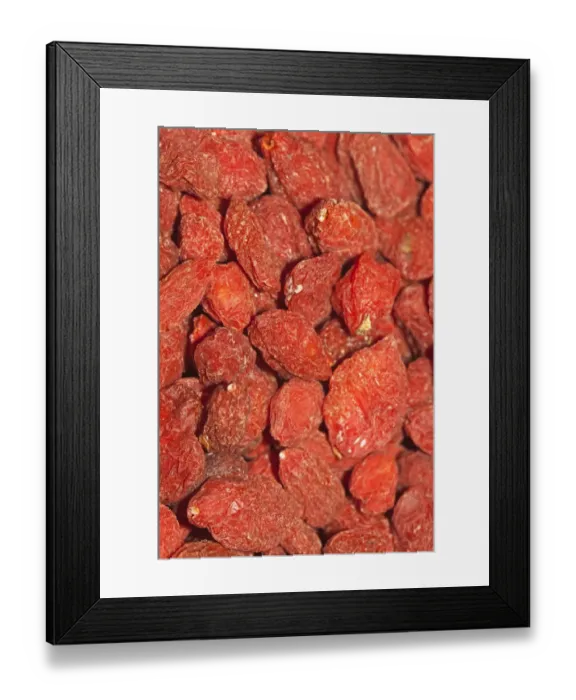 Framed Print : Wolfberries or Goji Berries -Lycium barbarum-, part of Chinese cuisine and traditional Chinese medicine Framed Print : Wolfberries or Goji Berries -Lycium barbarum-, part of Chinese cuisine and traditional Chinese medicine