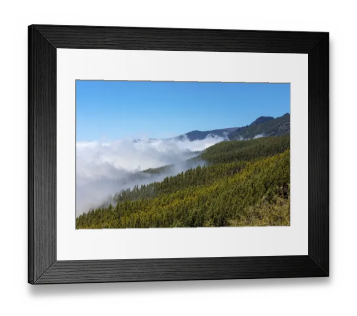 Framed Print : Cloud-hung forest in the Parque Nacional de las Canadas del Teide, Teide National Park, UNESCO World Natural Heritage Site, Icoro, San Pablo, Tenerife, Canary Islands, Spain