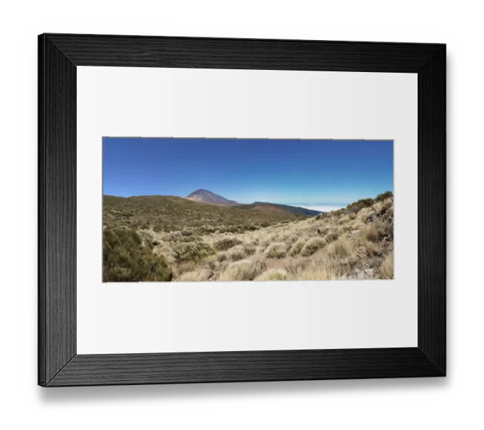 Framed Print : Landscape with vegetation typical of the Parque Nacional de las Canadas del Teide, Teide National Park, UNESCO World Natural Heritage Site, with Mount Teide volcano at the rear, Montijos, Palo Blanco, Tenerife, Canary Islands, Spain