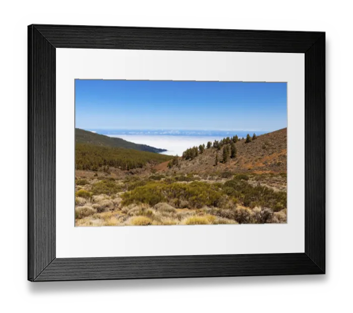 Framed Print : Landscape with vegetation typical of the Parque Nacional de las Canadas del Teide, Teide National Park, UNESCO World Natural Heritage Site, with views towards the Atlantic Ocean, Las Llanadas, Palo Blanco, Tenerife, Canary Islands, Spain Framed Print : Landscape with vegetation typical of the Parque Nacional de las Canadas del Teide, Teide National Park, UNESCO World Natural Heritage Site, with views towards the Atlantic Ocean, Las Llanadas, Palo Blanco, Tenerife, Canary Islands, Spain