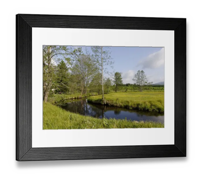 Framed Print : Grosse Ohe river in the Klosterfilz, Sankt Oswald-Riedlhutte, near Riedelhutte, Bavarian Forest National Park, Lower Bavaria, Bavaria, Germany Framed Print : Grosse Ohe river in the Klosterfilz, Sankt Oswald-Riedlhutte, near Riedelhutte, Bavarian Forest National Park, Lower Bavaria, Bavaria, Germany