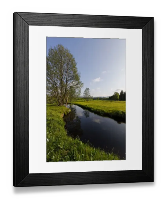 Framed Print : Grosse Ohe river in the Klosterfilz, Sankt Oswald-Riedlhutte, near Riedelhutte, Bavarian Forest National Park, Lower Bavaria, Bavaria, Germany Framed Print : Grosse Ohe river in the Klosterfilz, Sankt Oswald-Riedlhutte, near Riedelhutte, Bavarian Forest National Park, Lower Bavaria, Bavaria, Germany