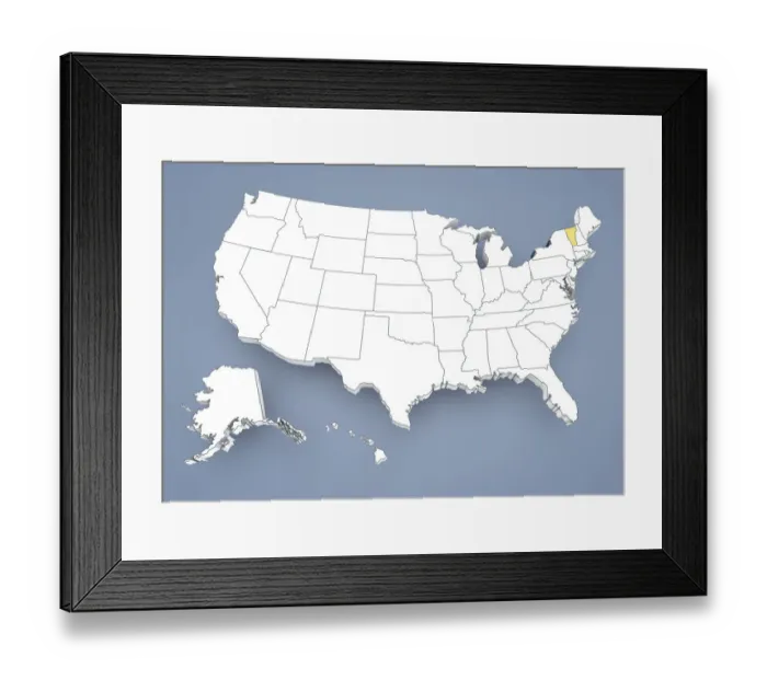 Framed Print : State of New York, NY, highlighted on a contour map of USA, United States of America, 3D illustration Framed Print : State of New York, NY, highlighted on a contour map of USA, United States of America, 3D illustration