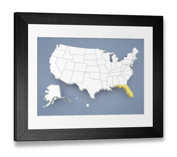 Framed Print : North Carolina, NC, highlighted on a contour map of USA, United States of America, 3D illustration Framed Print : North Carolina, NC, highlighted on a contour map of USA, United States of America, 3D illustration