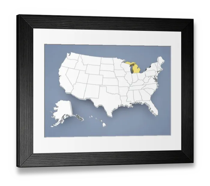 Framed Print : State of New York, NY, highlighted on a contour map of USA, United States of America, 3D illustration Framed Print : State of New York, NY, highlighted on a contour map of USA, United States of America, 3D illustration