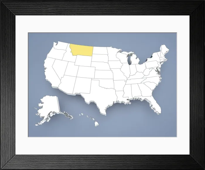 Framed Print : State of New York, NY, highlighted on a contour map of USA, United States of America, 3D illustration Framed Print : State of New York, NY, highlighted on a contour map of USA, United States of America, 3D illustration