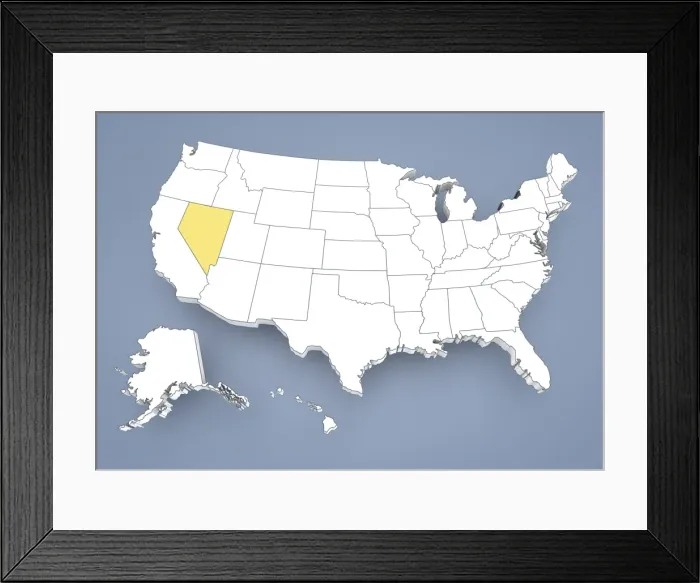 Framed Print : State of New York, NY, highlighted on a contour map of USA, United States of America, 3D illustration Framed Print : State of New York, NY, highlighted on a contour map of USA, United States of America, 3D illustration