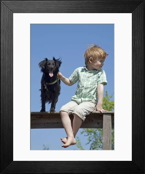 Framed Print : Boy with dog sitting on a fence Framed Print : Boy with dog sitting on a fence