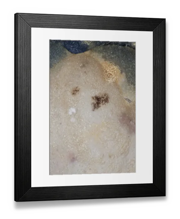 Framed Print : Mould, spores, mould culture, on sausage Framed Print : Mould, spores, mould culture, on sausage