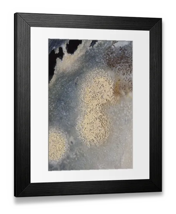 Framed Print : Mould, spores, mould culture, on sausage Framed Print : Mould, spores, mould culture, on sausage