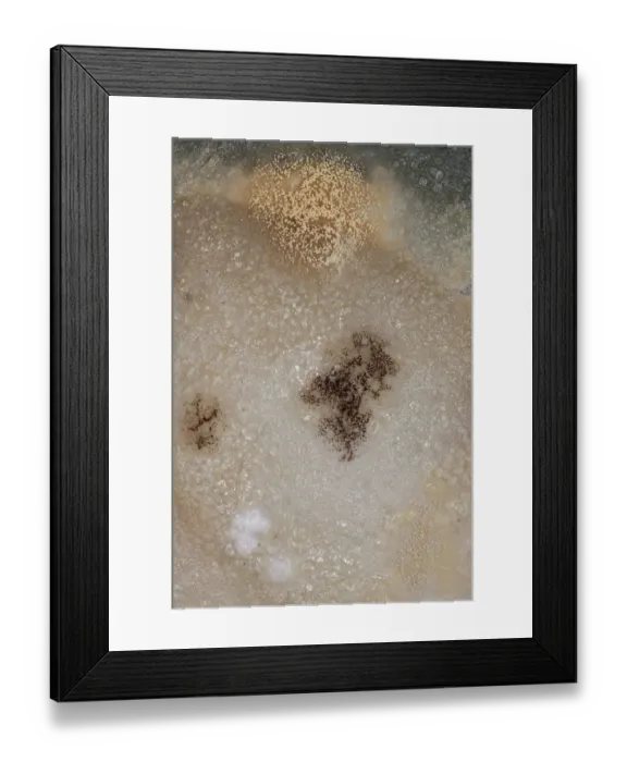Framed Print : Mould, spores, mould culture, on sausage Framed Print : Mould, spores, mould culture, on sausage