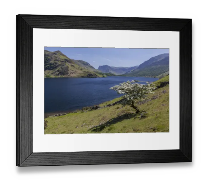 Framed Print : Lake of Crummock Water, Lake District National Park, Cumbria, England, United Kingdom Framed Print : Lake of Crummock Water, Lake District National Park, Cumbria, England, United Kingdom