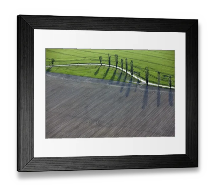 Framed Print : Tree-lined avenue, Elbe Sandstone Mountains, Saxony, Germany, Europe